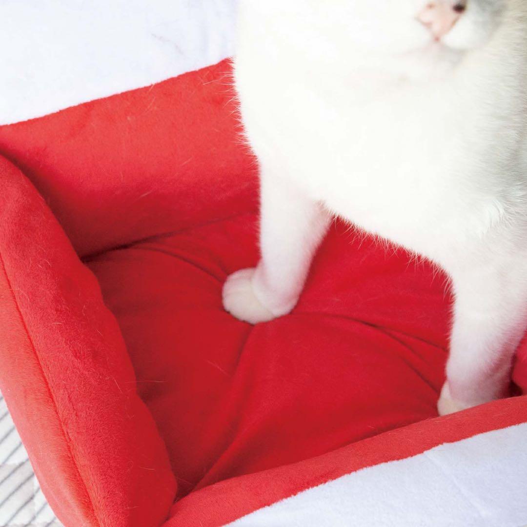 8日迄★ felissimo YOU+MORE! / cat bed（panda