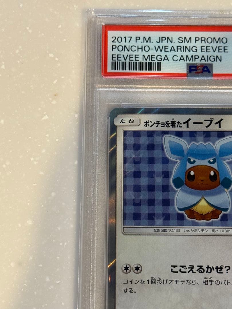 ポンチョを着たイーブイ: プロモ[SM-P 143] PSA10