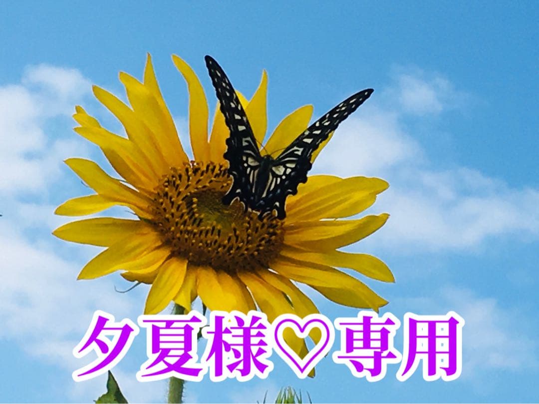 夕夏様❤️おまとめ専用ページです。4/1まで♡