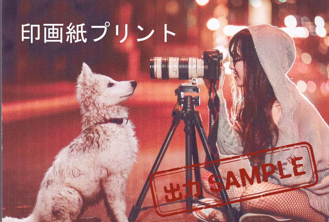 【印刷枚数1501～1550枚】canon　MG7530　ブラウン