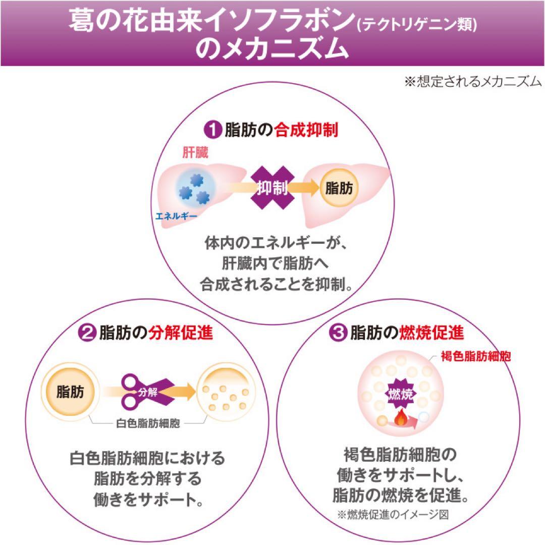 メタバリア葛の花イソフラボンEX 240日分