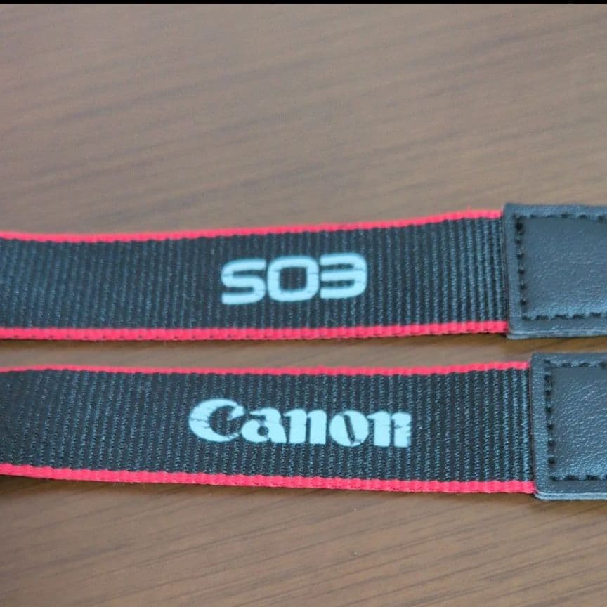 Canon EOS Kiss M2 レンズ3種・リモコン・予備バッテリー付