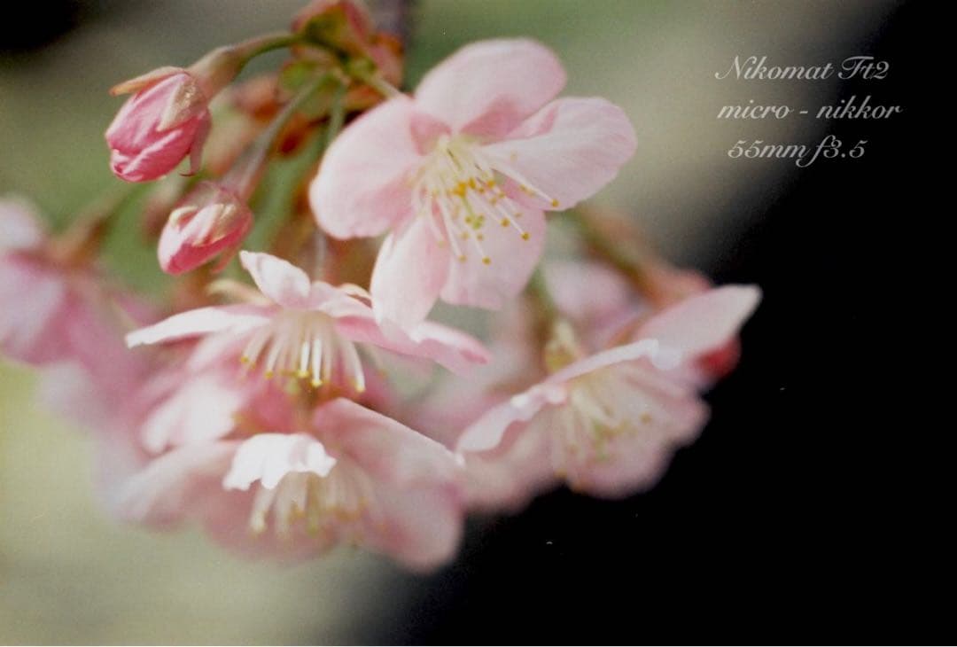 名機/名玉セット！★nikomat FT2＊micro nikkor＊完動＊美品
