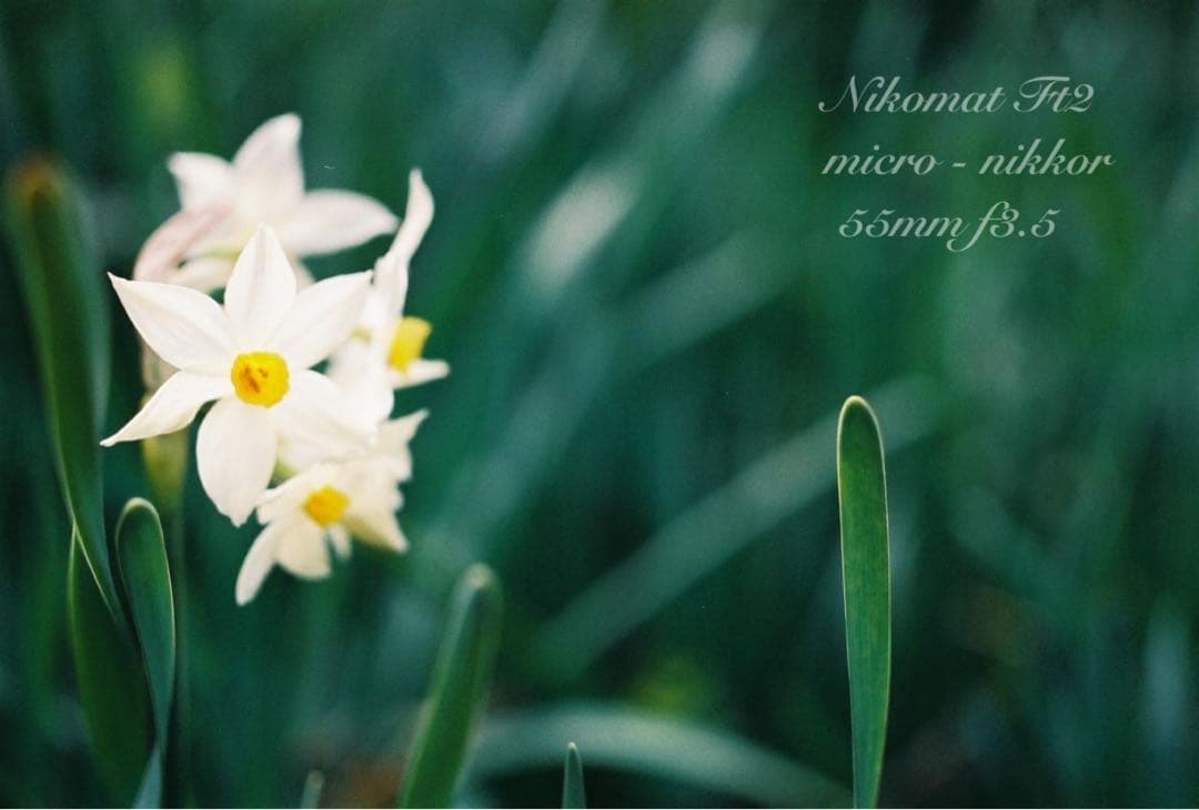 名機/名玉セット！★nikomat FT2＊micro nikkor＊完動＊美品