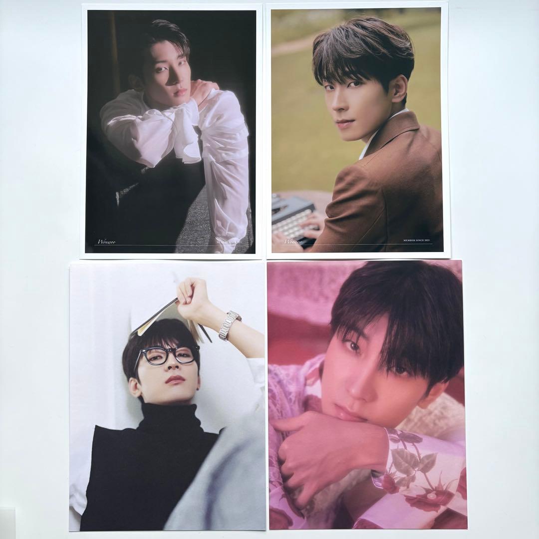 seventeen 缶バッジ　ワッペン　ペンライトアクセサリー　アクスタ　ウォヌ