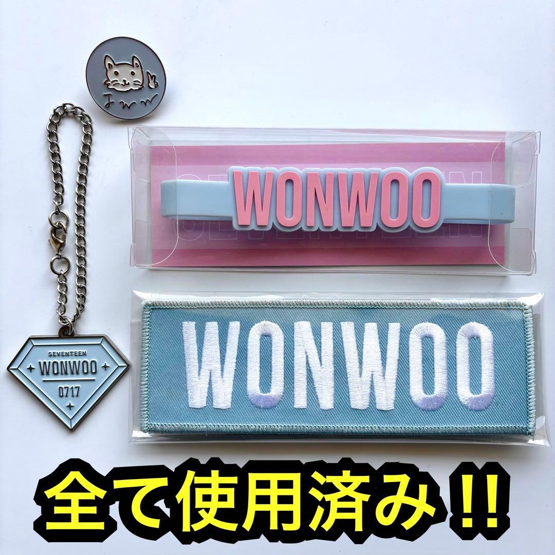 seventeen 缶バッジ　ワッペン　ペンライトアクセサリー　アクスタ　ウォヌ