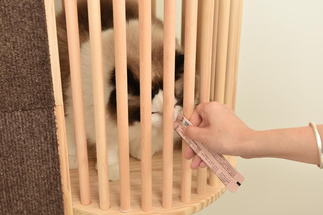 猫タワー 天然木製 宇宙船付き猫ハウス 麻紐爪とぎ 頑丈 おしゃれ 通気性抜群
