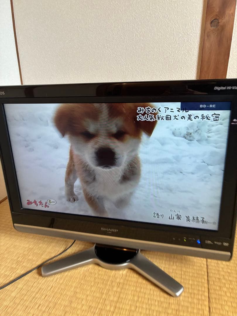 液晶テレビ26インチAQUOS SHARP Blu-ray内蔵LC-26DX1