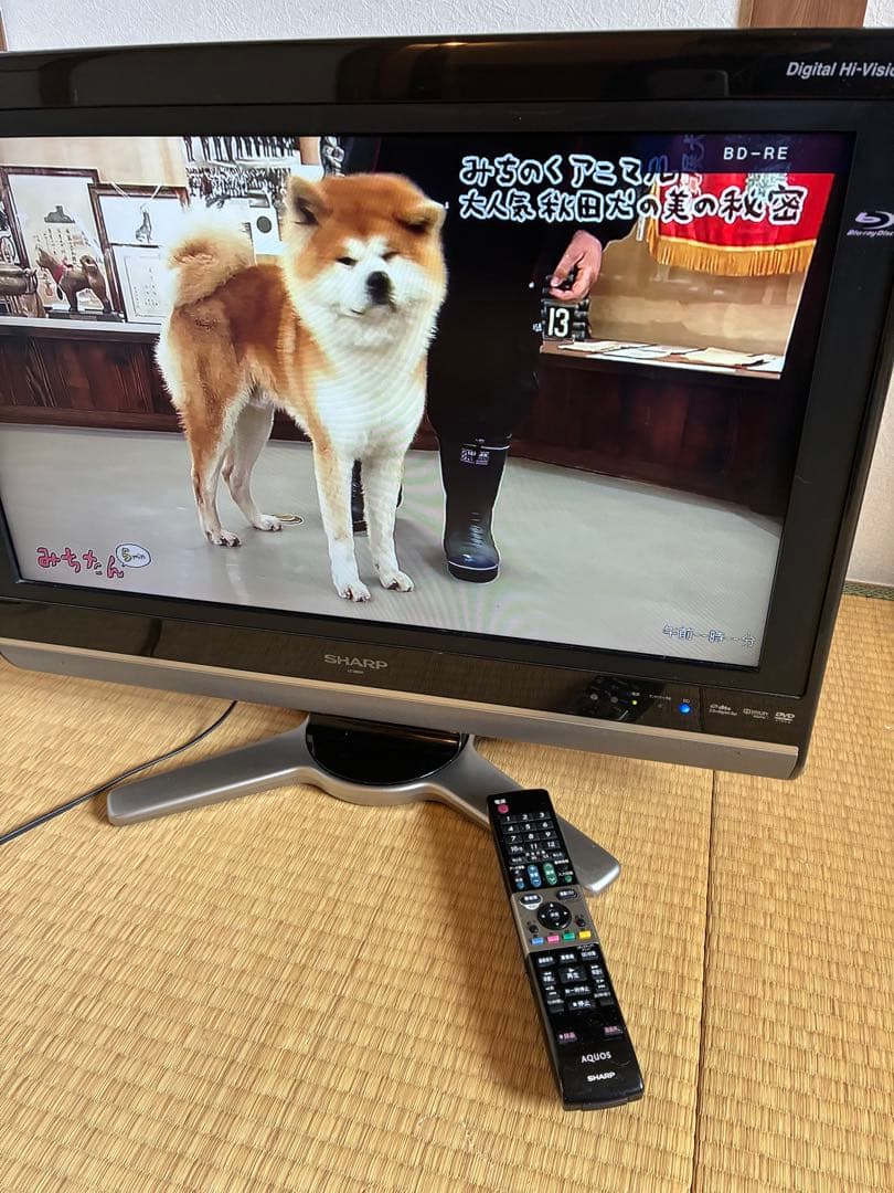 液晶テレビ26インチAQUOS SHARP Blu-ray内蔵LC-26DX1