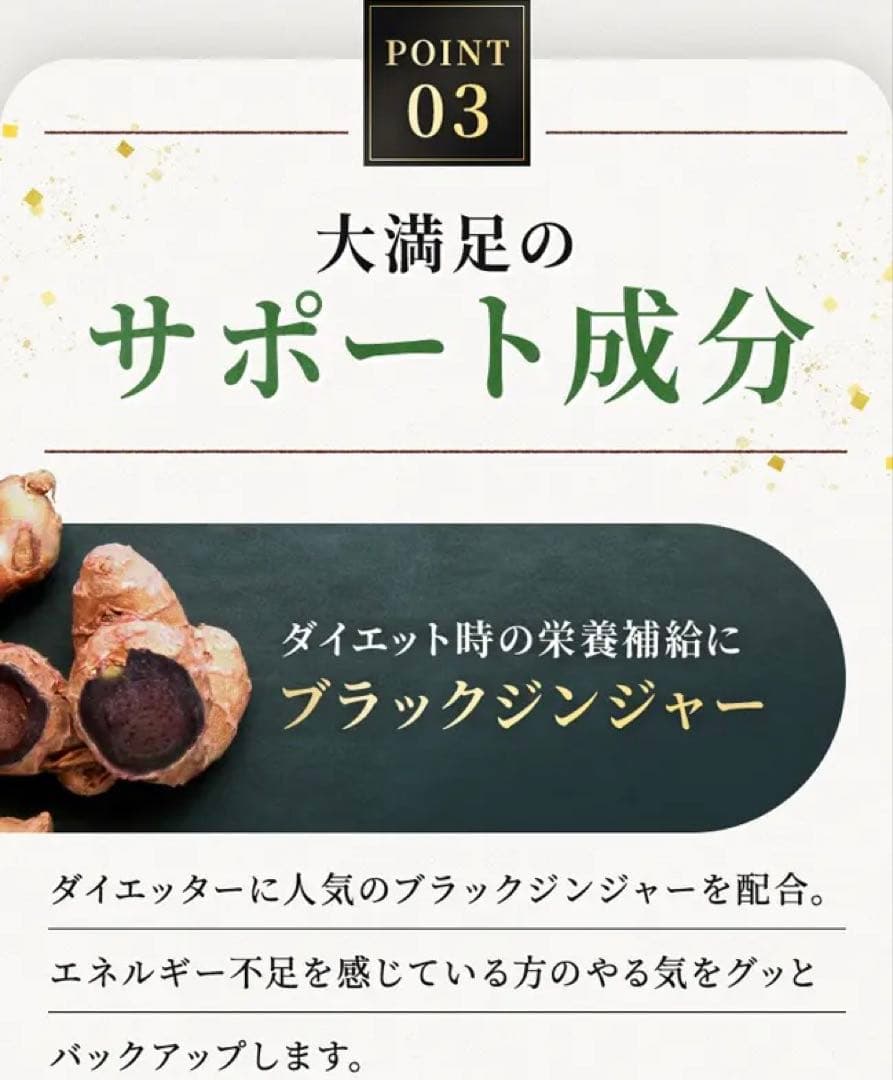 発酵本家の味噌汁 ２袋セット 新品 賢者の食卓(特保)1包おまけ 即日発送！！