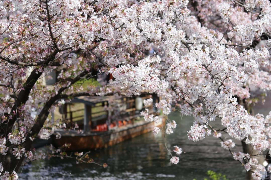 【動作良好・ベタつきなし】Canon EOS 6D ボディ