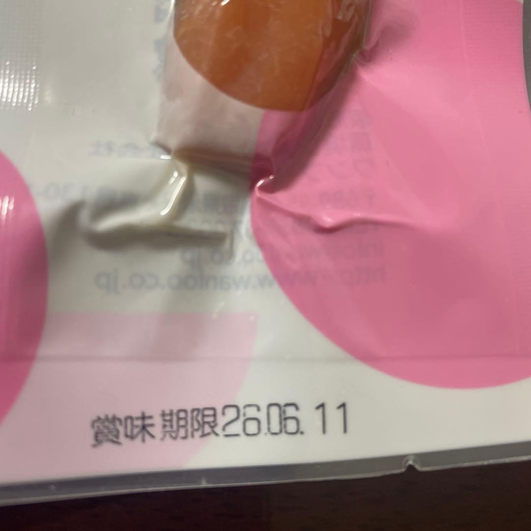 wanfoo Rabbit Jerky ウサギ肉おやつ 12個セット