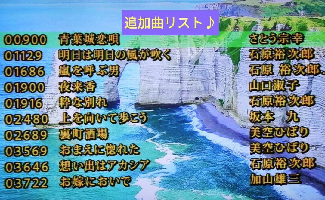 カラオケ一番（300曲+58曲）追加曲用カートリッジ付き YK-3008