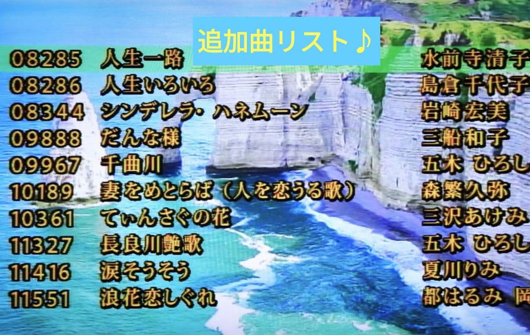 カラオケ一番（300曲+58曲）追加曲用カートリッジ付き YK-3008