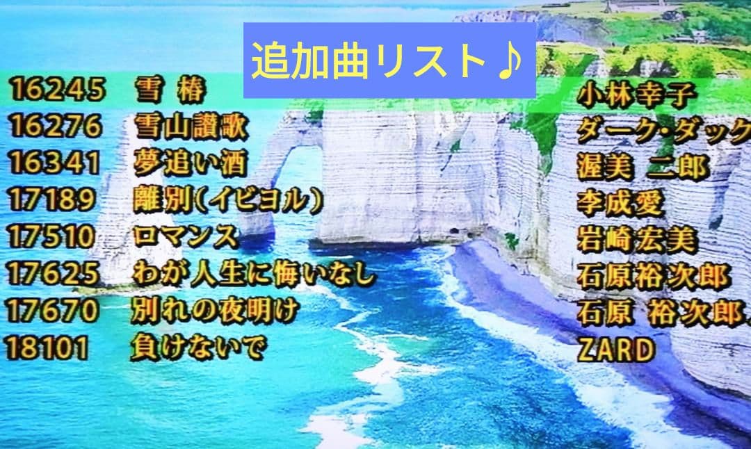 カラオケ一番（300曲+58曲）追加曲用カートリッジ付き YK-3008