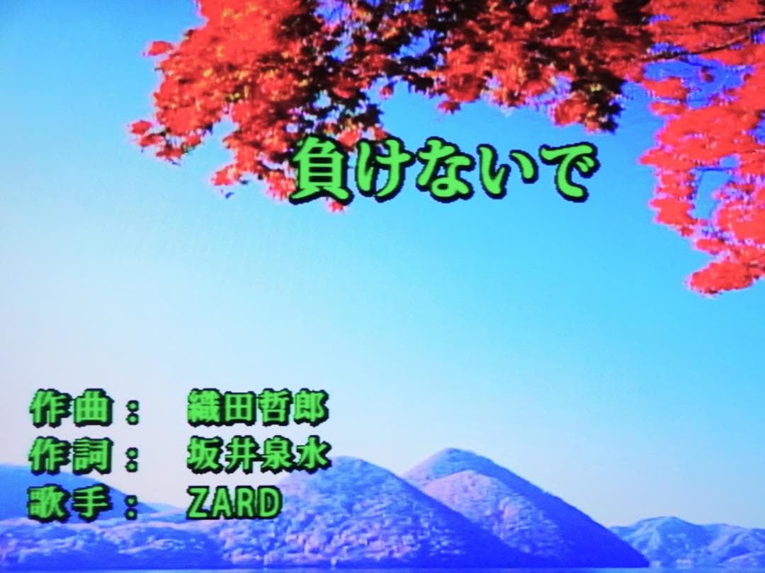 カラオケ一番（300曲+58曲）追加曲用カートリッジ付き YK-3008