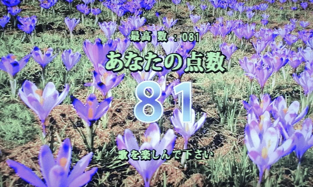 カラオケ一番（300曲+58曲）追加曲用カートリッジ付き YK-3008