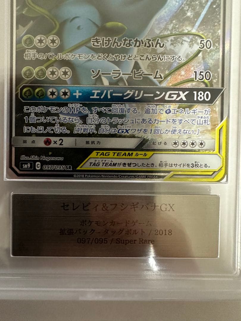 リザードンex sar 黒炎の支配者 ピカチュウ&ゼクロム　セレビィ＆フシギバナ