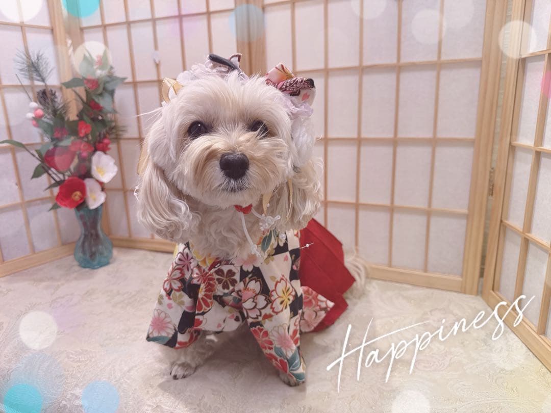 B467.pon2pan2☆犬オーダー袴☆犬袴