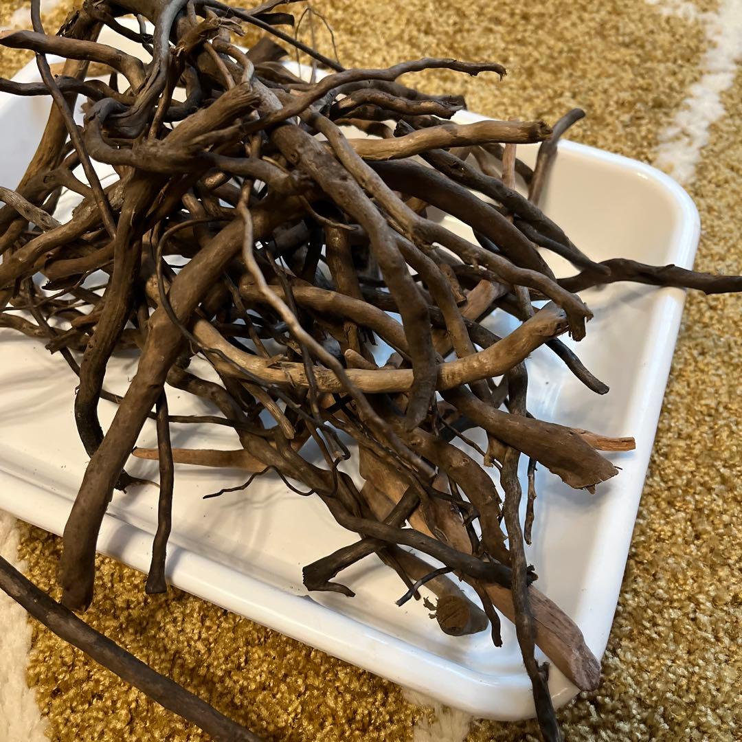 水槽用流木セット