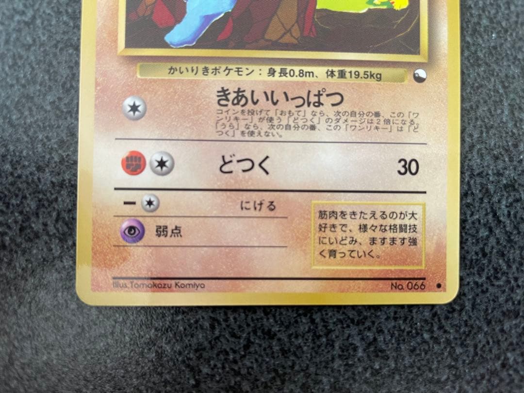 拡張シート 旧裏 イワーク ワンリキー Tomokazu Komiya
