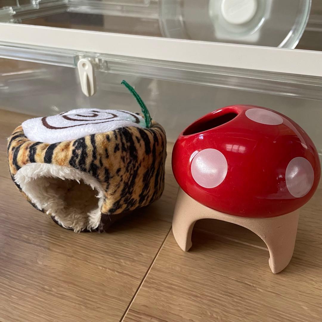 除菌済みGEXグラスハーモニー450プラス 飼育セット