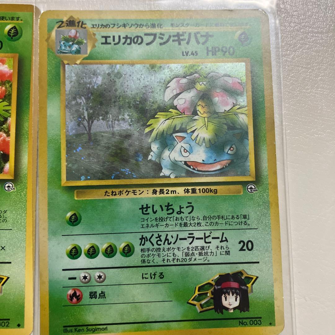 エリカのフシギダネ フシギソウ フシギバナ　進化ライン　旧裏