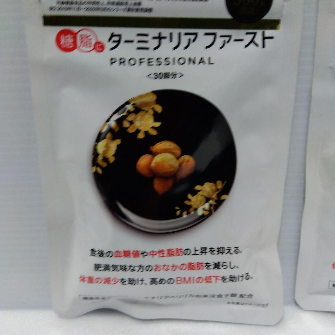 ターミナリアファースト PROFESSIONAL 120粒3個