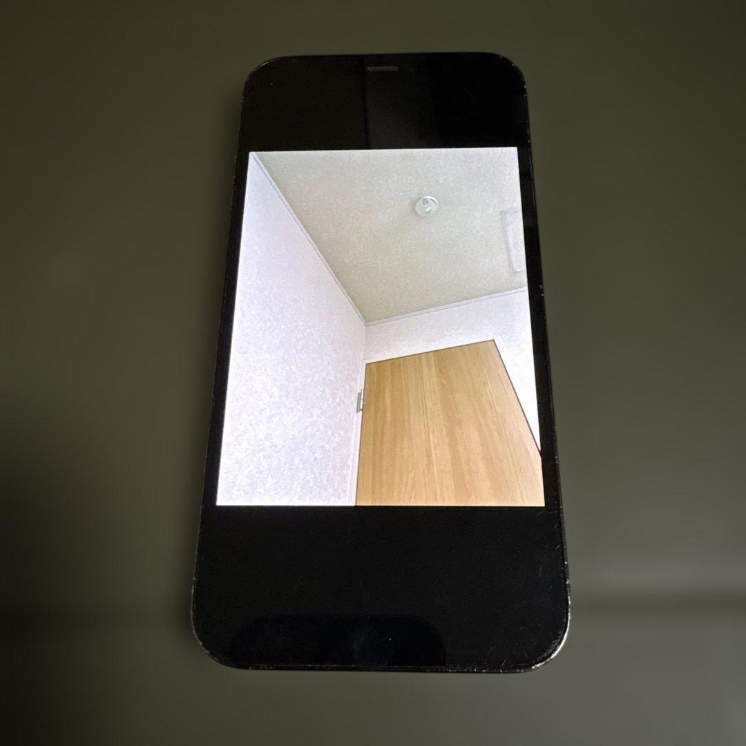 iPhone 12 Pro ジャンク