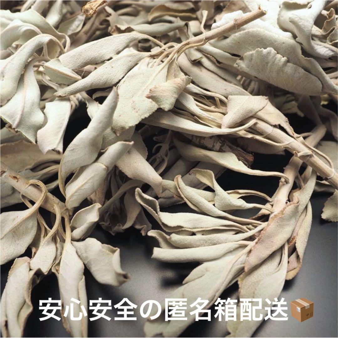 ★特選NEW★無農薬カリフォルニア産【箱配送100g高品質ホワイトセージ】❤️