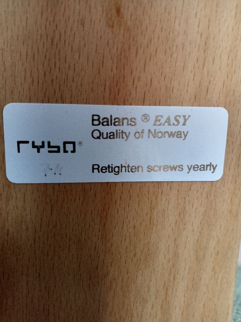 Rybo リボ社 バランス イージー バランスチェア 姿勢矯正　グリーン