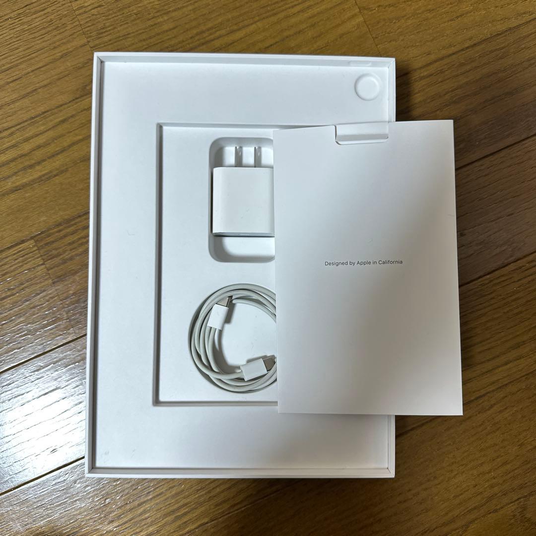 iPad Pro 第一世代（11-inch）本体 充電器付き