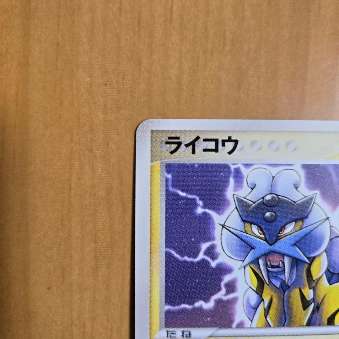 ✨美品✨ライコウ ポケパークプレミアムファイル 005/009