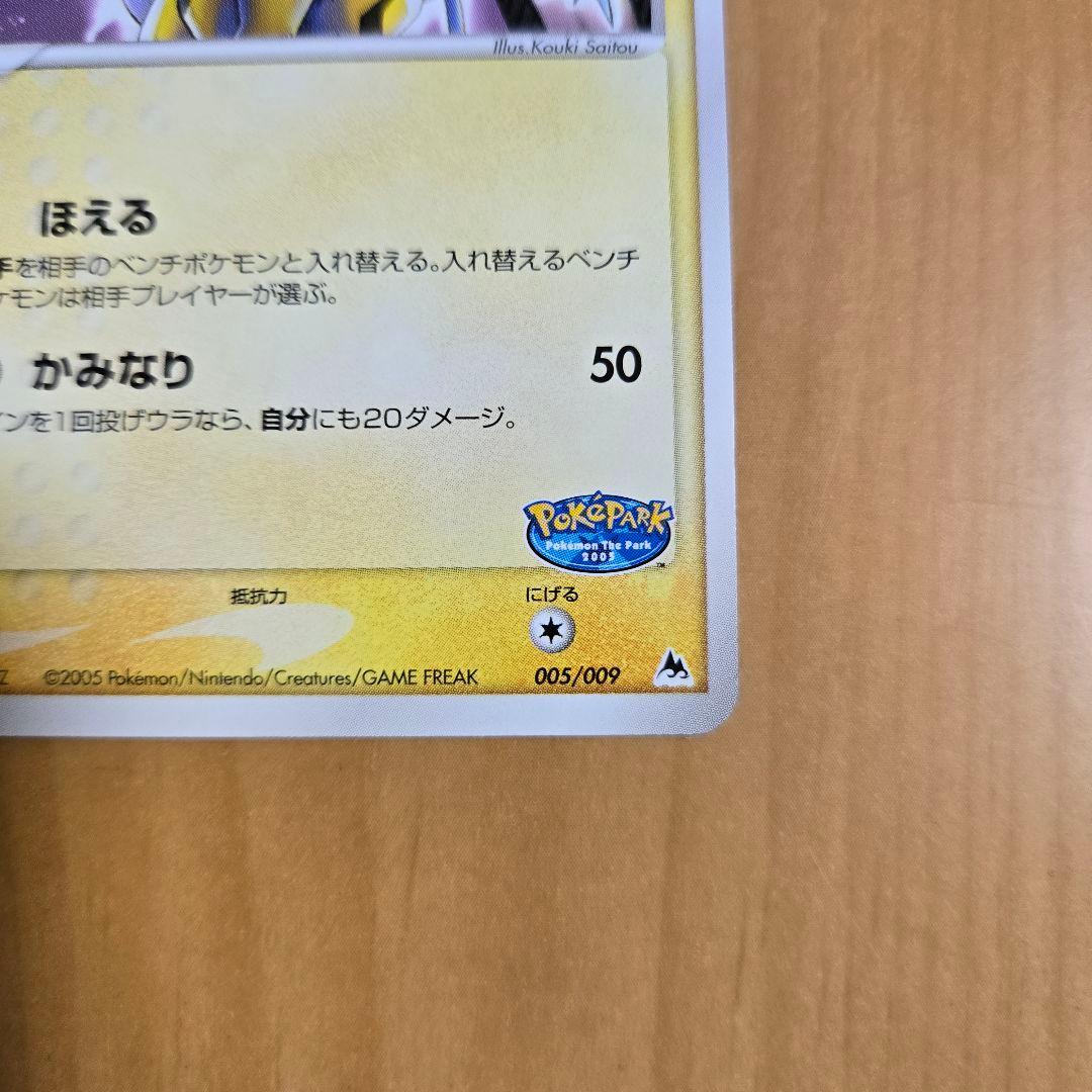 ✨美品✨ライコウ ポケパークプレミアムファイル 005/009