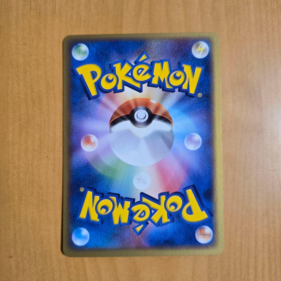 ✨美品✨ライコウ ポケパークプレミアムファイル 005/009