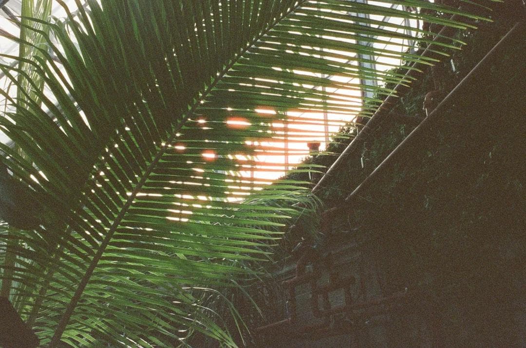 MINOLTA X-700 ＋ MC ROKKOR-PF 50mm F1.7