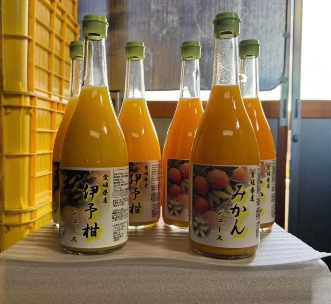 愛媛県産 伊予柑 みかん 100% ストレートジュース