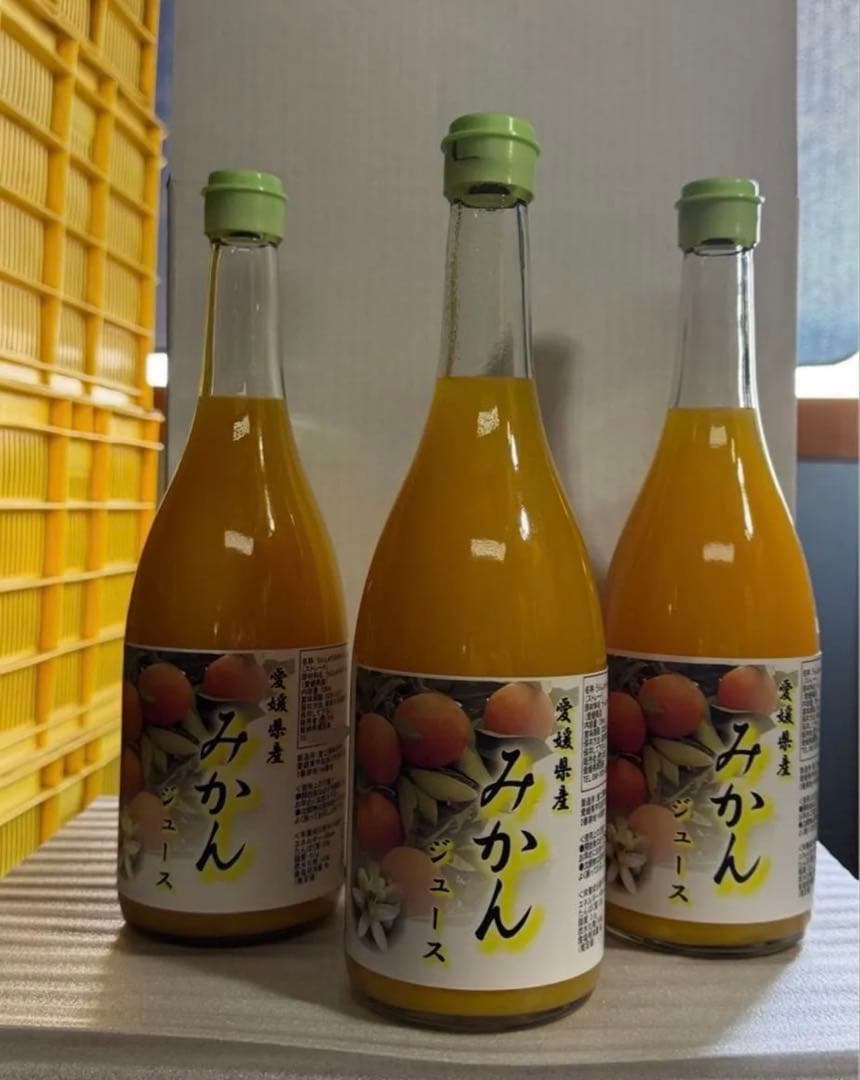 愛媛県産 伊予柑 みかん 100% ストレートジュース