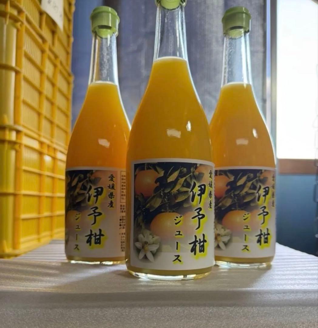 愛媛県産 伊予柑 みかん 100% ストレートジュース