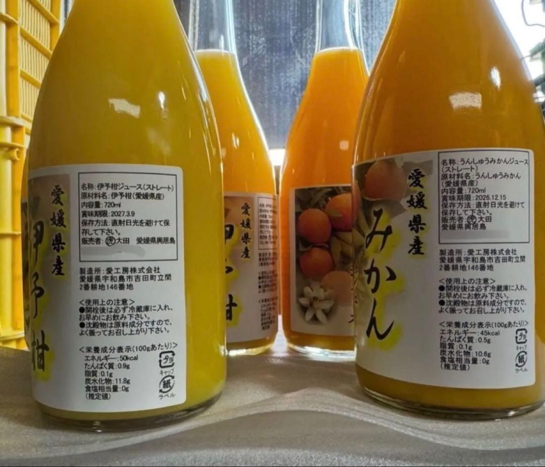 愛媛県産 伊予柑 みかん 100% ストレートジュース