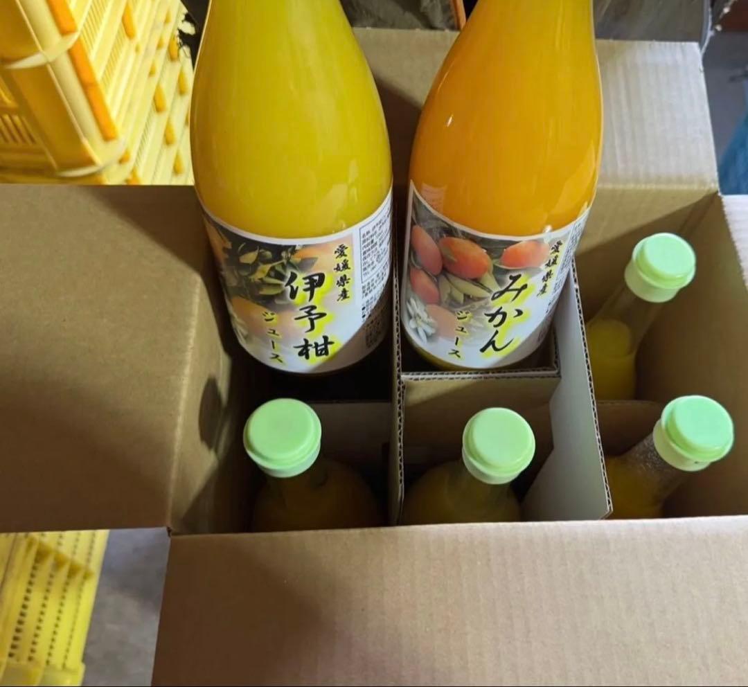 愛媛県産 伊予柑 みかん 100% ストレートジュース
