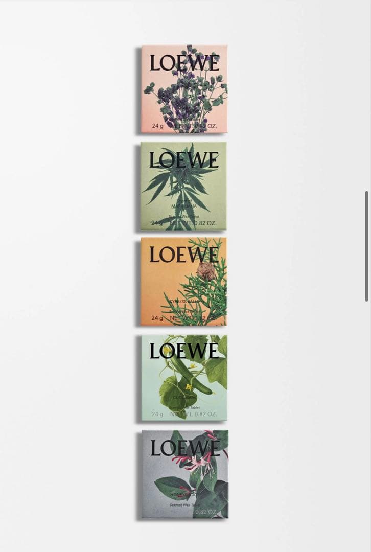 LOEWE ルームフレグランス ショッパー・特典付き！