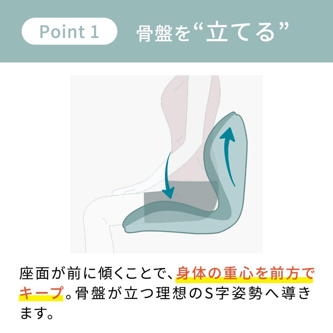 StyIe PREMIUM/スタイルプレミアム/ブラウン/骨盤矯正