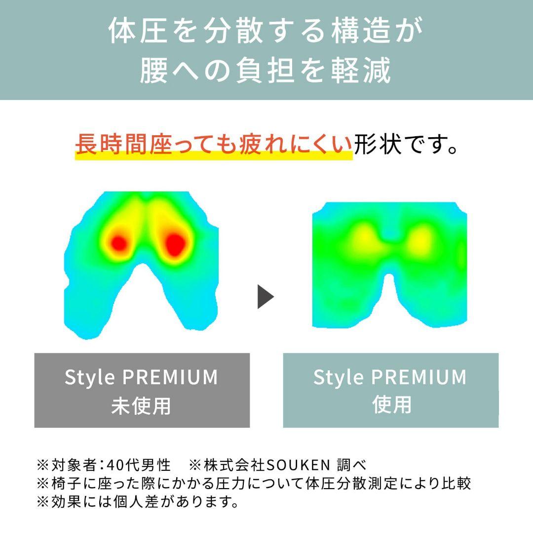 StyIe PREMIUM/スタイルプレミアム/ブラウン/骨盤矯正