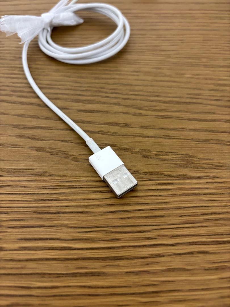 Apple iPad mini スペースグレー 7.9インチ 本体(セルラー)