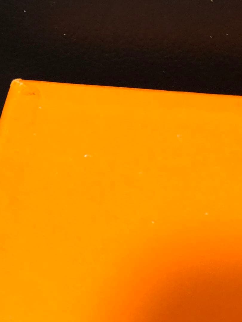 エルメス　バーキン30 バーキン25 空箱　保存袋　レインカバー