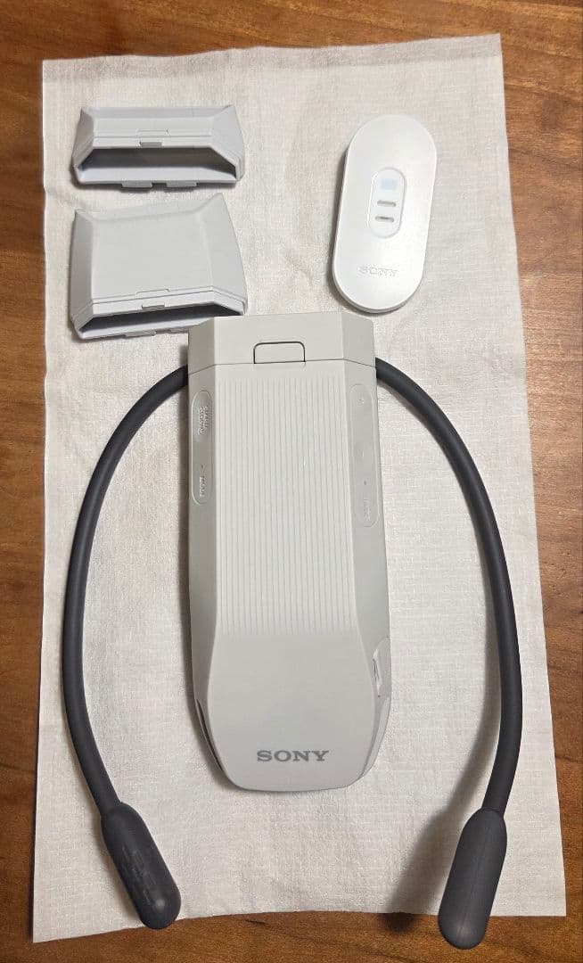 REON POCKET PRO RNPK-P1T ケース付
