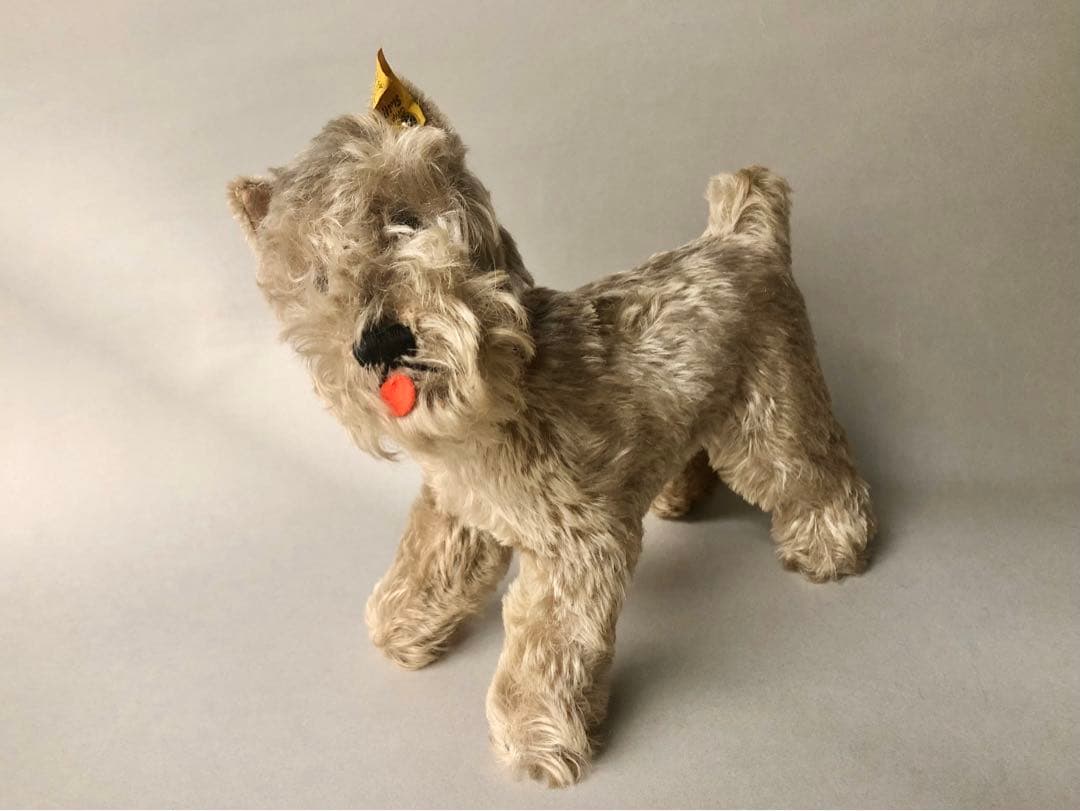 Steiff 　シュナウザーのTessi　IDあり