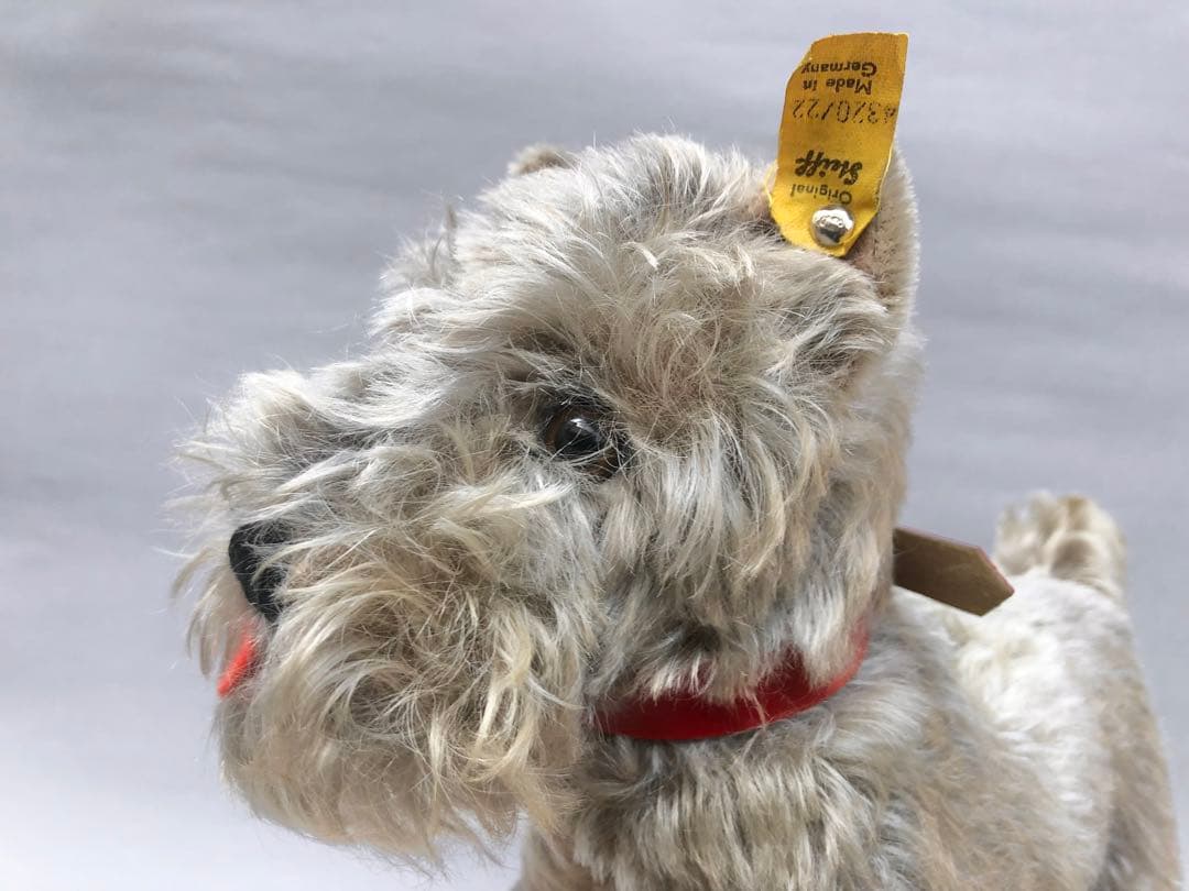 Steiff 　シュナウザーのTessi　IDあり