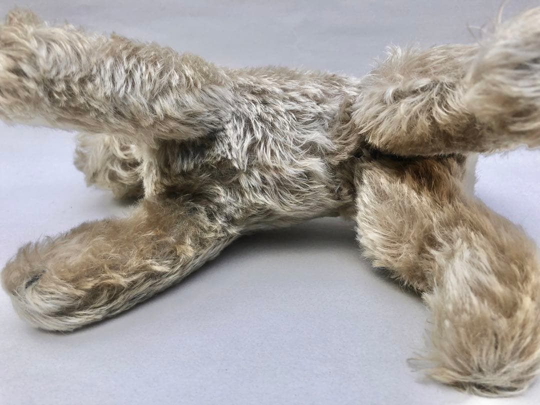 Steiff 　シュナウザーのTessi　IDあり